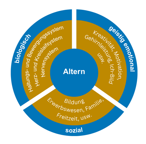 Kreisdiagramm zeigt drei Dimensionen des Alterns: biologisch mit Haltung, Herz-Kreislauf- und Nervensystem; geistig-emotional mit Kreativität, Motivation, Gehirnleistung; sozial mit Bildung, Erwerbswesen, Familie, Freizeit.